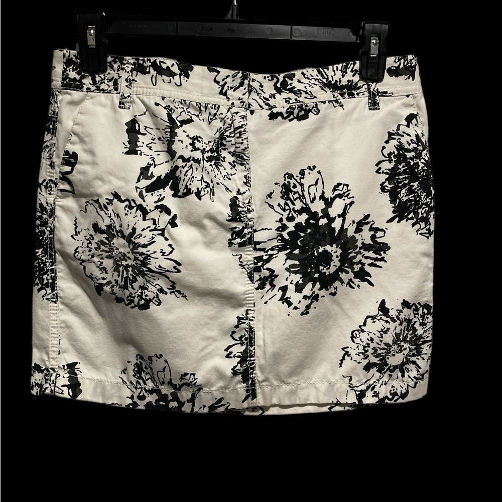 Ann Taylor Loft skirt